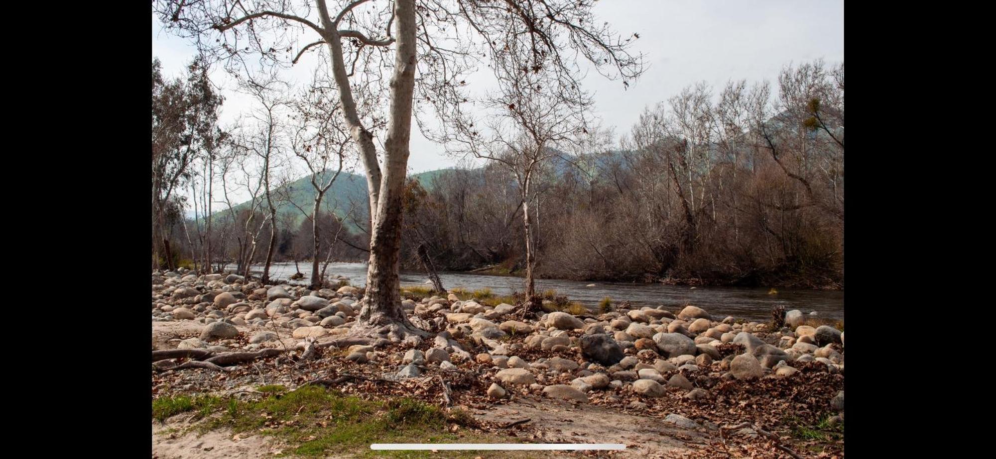 Sequoia River Front Cabins Three Rivers Exterior foto
